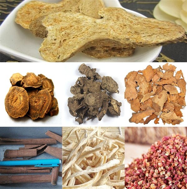 屠苏是什么意思