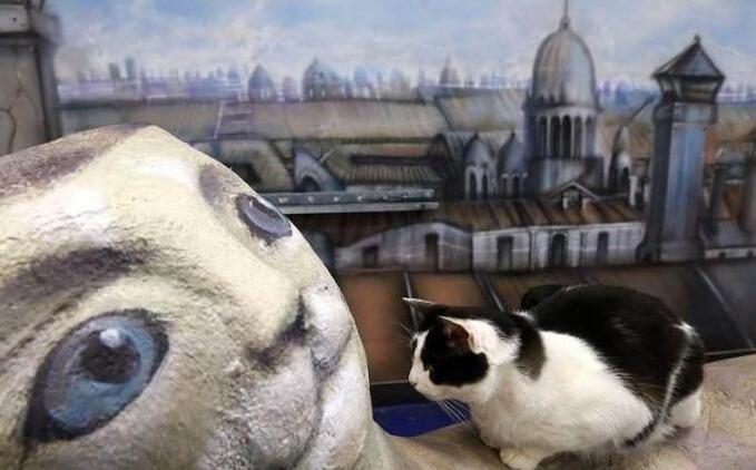 好奇心害死猫是什么意思