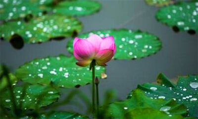 梅雨季节是什么时候