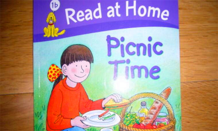 picnic是什么意思