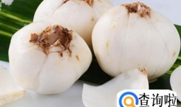 百合怎么做能化痰止咳