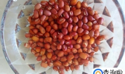 生姜红枣红豆糊