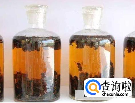 如何制作丁香红糖酒