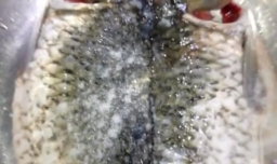 自己在家怎么做好吃的香辣烤鱼？香辣烤鱼怎么做