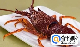 蒜蓉蒸澳洲龙虾的做法