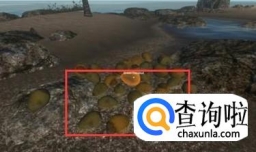 荒岛求生游戏攻略秘籍