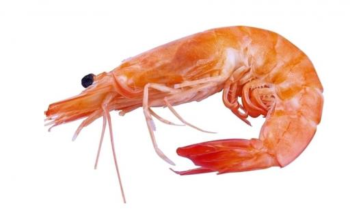 海虾的营养价值及功效