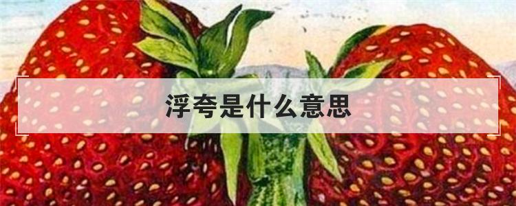 浮夸是什么意思