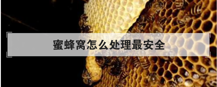 蜜蜂窝怎么处理最安全