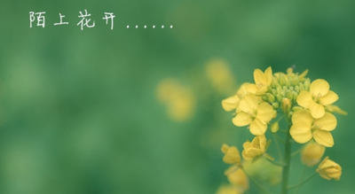 陌上花开什么意思