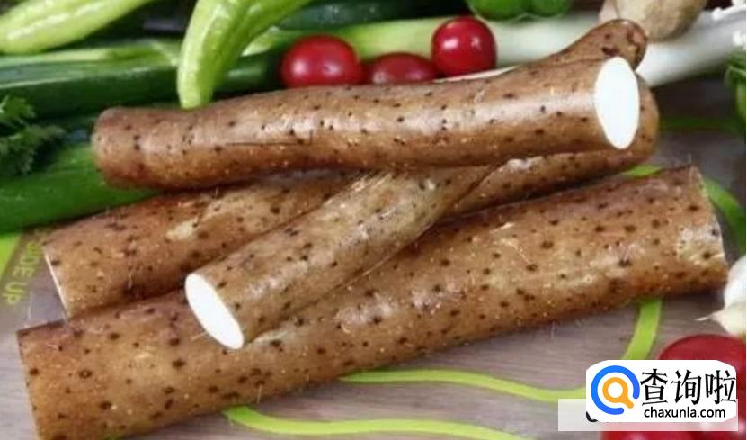 润肺养肺什么东西最好