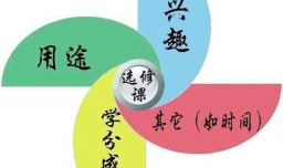 大学生该如何选择选修课？