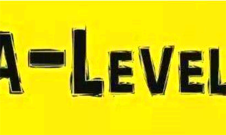 level是什么意思