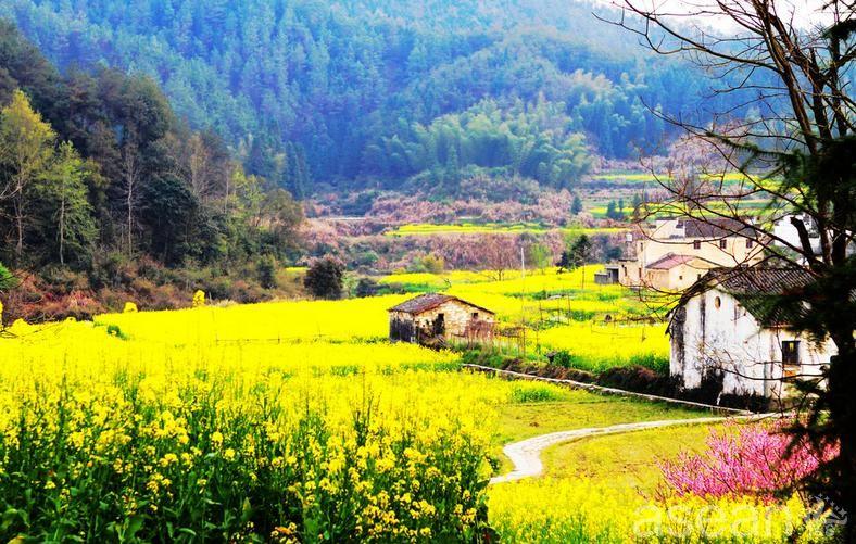 白色情人节礼物送什么