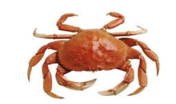 吃螃蟹时哪些地方不能吃