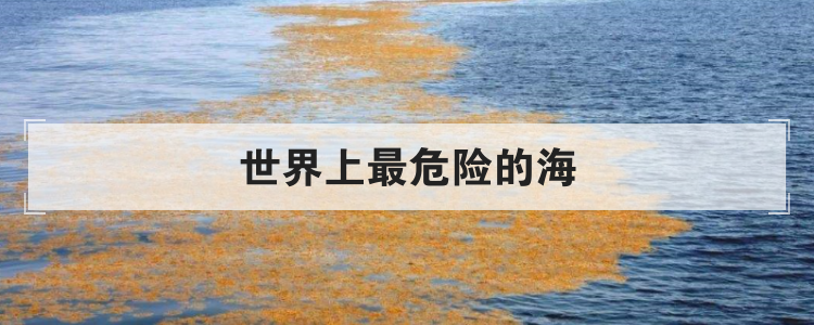 世界上最危险的海