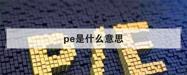 pe是什么意思