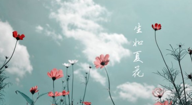 生如夏花什么意思