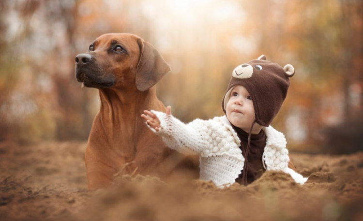好听的黄姓女孩取名技巧，名字大全
