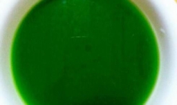 菠菜馒头的做法