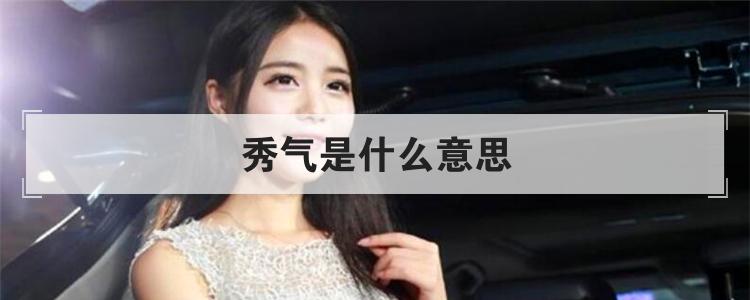 秀气是什么意思