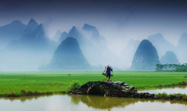 两山排闼送青来的上一句是什么?