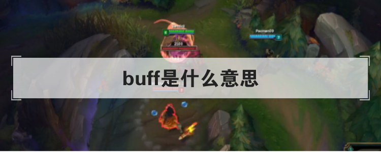 buff是什么意思