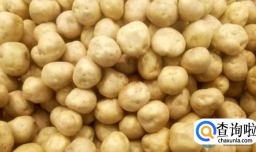 土豆属于粗粮吗