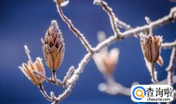 2023年3月中下旬有倒春寒吗