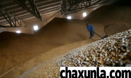 储存粮食有哪些方法