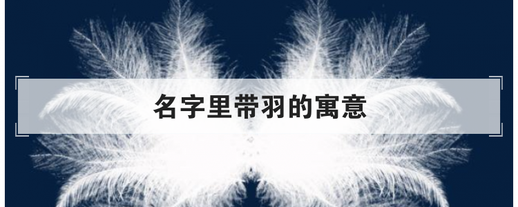 名字里带羽的寓意