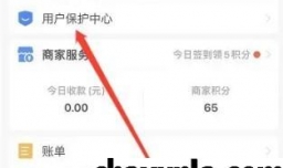 支付宝开启大额保护在哪设置