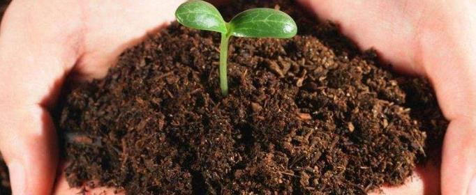 土壤分为哪几层