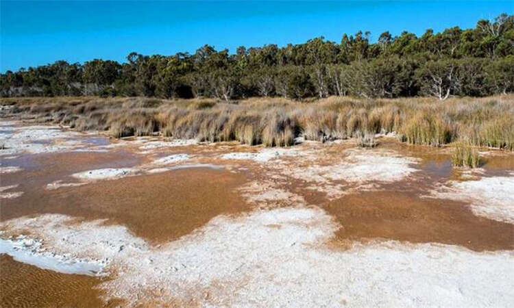 盐是怎么形成的