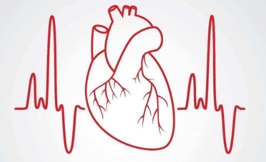 窦性心律不齐是什么意思？严重吗？