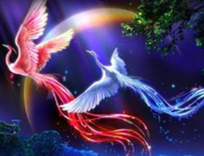 两全其美是什么生肖