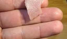 东北溜肉段的家常做法