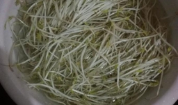 如何清炒绿豆芽？