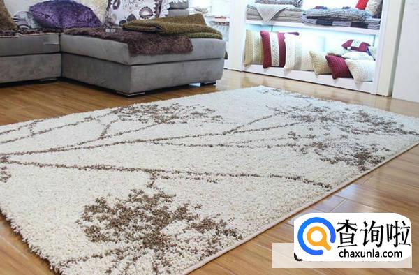 地毯清洗:怎样除去地毯上的汤汁