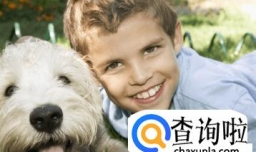 戴姓男孩起名字大全