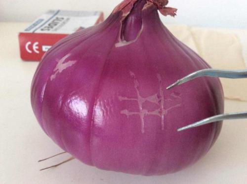 洋葱表皮烂了里面还能吃吗