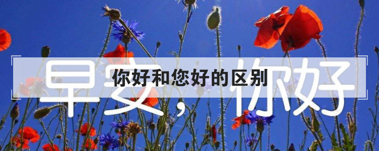 你好和您好的区别