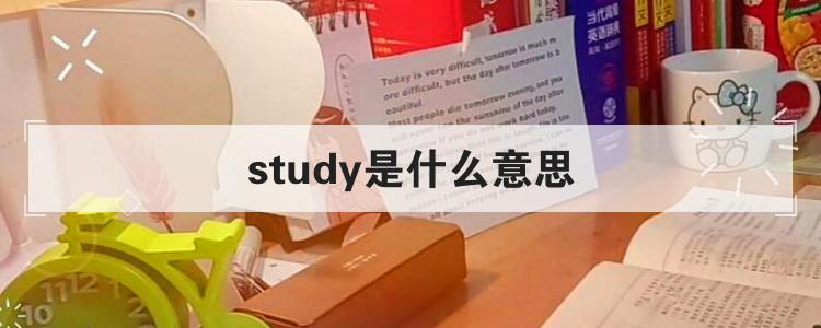 study是什么意思