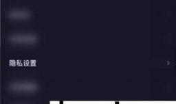 鱼耳软件中如何开启隐藏定位功能