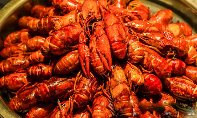 小龙虾会淹死在水里吗