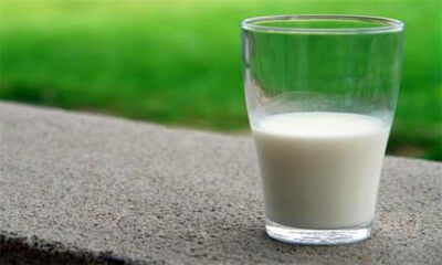 脱脂牛奶的危害