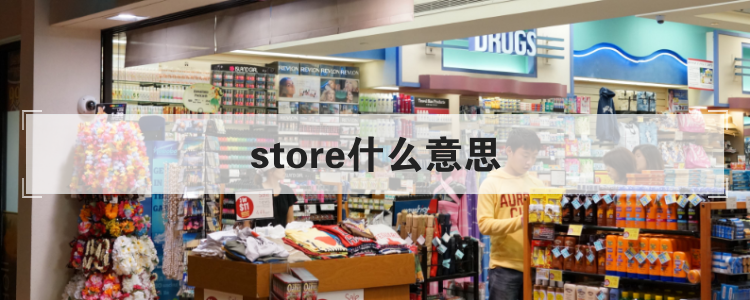 store什么意思