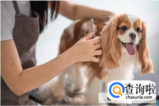 多久上一次厕所合适