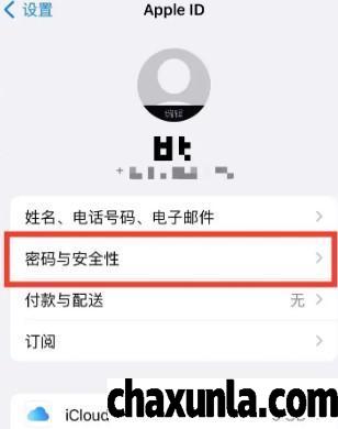 iPhone14怎么开启自动验证功能