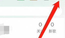 QQ音乐如何进行设置